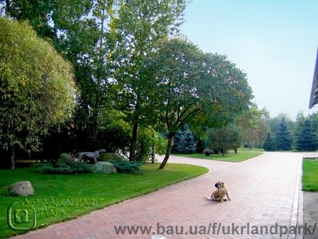 Ландшафтно-строительные работы по благоустройству и озеленению